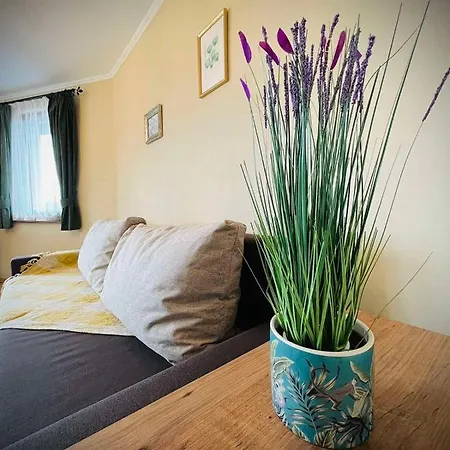 Apartman The Guest House-amazing View, Location, Entire House *