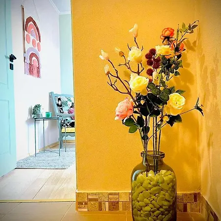 The Guest House-amazing View, Location, Entire House Appartement *