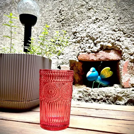 The Guest House-amazing View, Location, Entire House