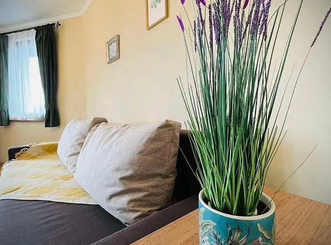 Daire The Guest House-amazing View, Location, Entire House *