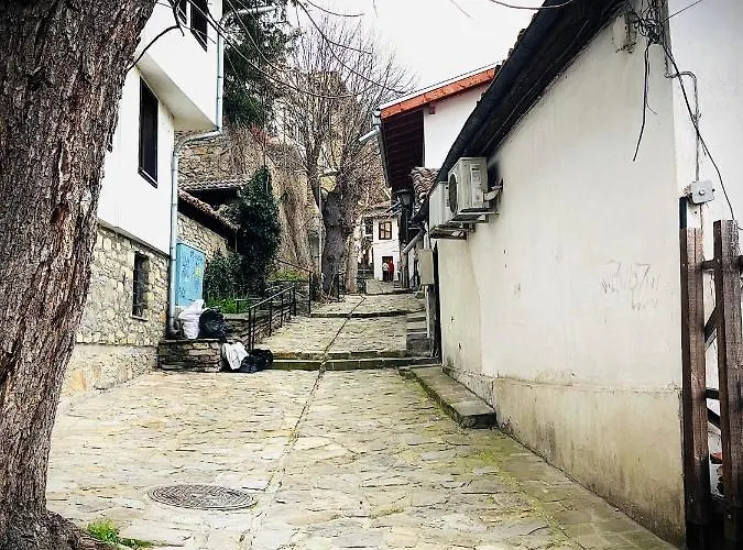 The Guest House-amazing View, Location, Entire House Daire Tırnova